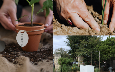 The Best Produce You’ve Ever Tasted Comes from Only One Place